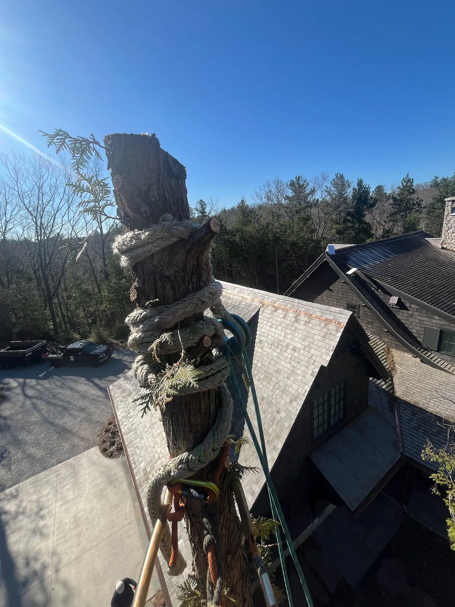 Rigged tree removal above a home in Northern Michigan — Up North Tree Care