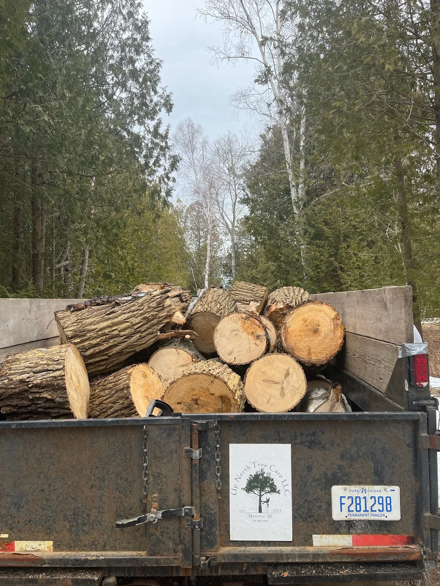 Branded trailer loaded with hardwood logs — Up North Tree Care